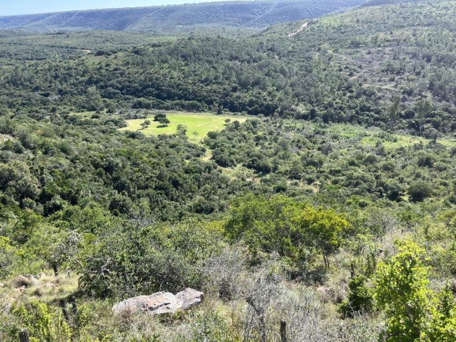 Commercial Property for Sale in Bathurst Rural Eastern Cape